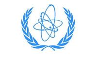 The International Atomic Energy Agency (IAEA)