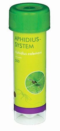 LS-Systems - Model XAAZ000065 - Natural Aphid Control: Aphidius Colemani Parasitic Wasp