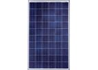 Solarworld - Model 260 - 270 - Polypropylene Solar Panels