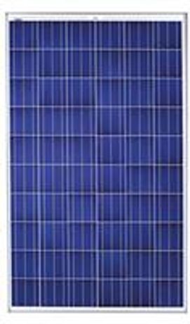 Solarworld - SunProtect - Model 265 - Polypropylene Solar Panels
