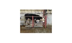 Osmond - Model SP108 - Cattle Weighing Scales