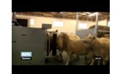 Sheep Feeder SF60 by BioControl Video