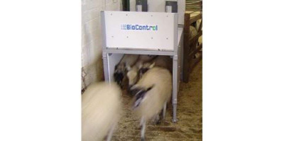 Model WLR 70 - Sheep Wide Lane Reader - High-Tech Solution for Efficient Livestock Management