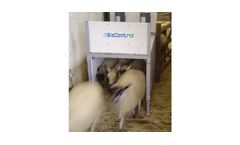 Model WLR 70 - Sheep Wide Lane Reader - High-Tech Solution for Efficient Livestock Management
