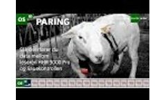 To Transfer Data about Mating Between Reader HHR 3000 Pro and Sheep Control video