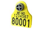 OS ID - Model Combi 3000 Mini - Non-electronic Ear Tag for Sheep, Goats and Reindeer