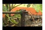 Asta Stake Dripper Guide - Drip Irrigation Video