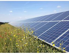 Plans progress for 50MW solar farm in Durham, UK by Lightsource bp