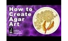How to Create Agar Art with Living Microbes Video