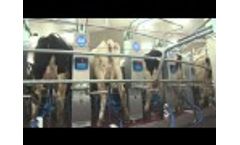 Milkline Proactive 60 Point Rotary Milking Parlor in Japan Video