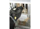 Milkline - Out-Parlour Feeding System