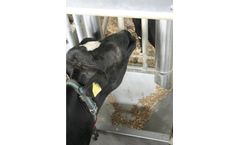 Milkline - Out-Parlour Feeding System
