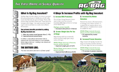 Ag-Bag - Model T7060 - Pull-Type Agriculture Bagger - Specifications Brochure