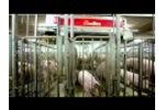 JH Automatic distribution of straw in pig stables - Video