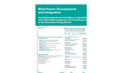 Wind Power Development and Integration