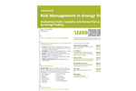 Risk Management in Energy Trading Brochure
