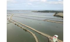 Investing in aquaculture: a road to riches or a path to poverty?