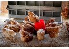 AvaPro - Model B - Poultry Raising Microbiome