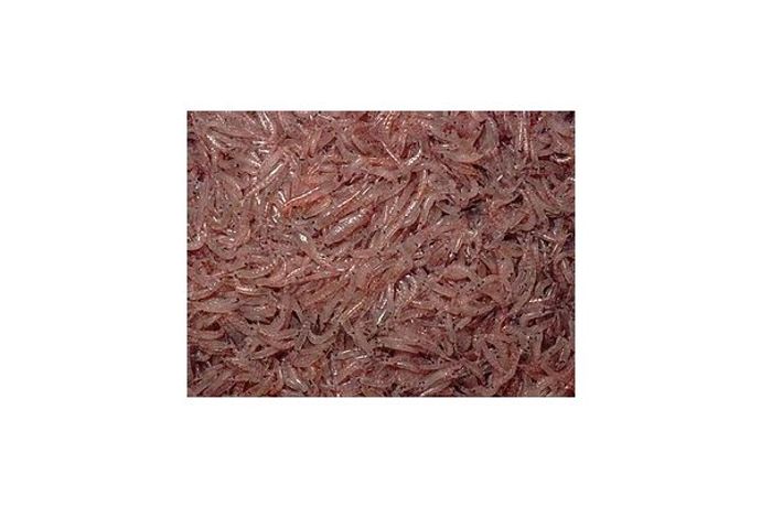 Aquaintech - Fresh Frozen Krill