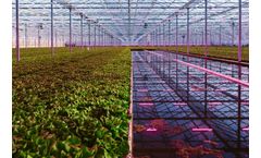 Fact or Fiction? Horticultural Lighting Questions Answered