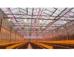 A hybrid lighting system can be a great way to take advantage of both lighting technologies, allowing for increased efficiencies