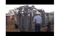 Working Cattle through a Pearson Hydraulic Chute Video