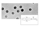 Sartorius - Model 0.1 µm / 25 mm Discs - Polycarbonate Track-Etched Membrane Filters