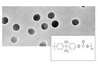 Sartorius - Model 0.2 µm / 50 mm Discs - Polycarbonate Track-Etched Membrane Filters