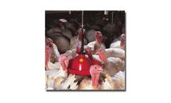 Plasson - Adult Turkey Drinker Systems