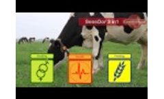 CowManager SensOor System detects heat, rumination/eating behavior and disease Video