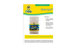 Calva Lyte - Electrolytes Brochure