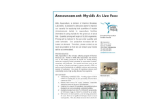 2004 Announcement: Mysids As Live Food Source  Brochure