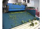Kerian - Broccoli and Cauliflower Sorting and Grading Machine