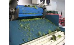 Kerian - Broccoli and Cauliflower Sorting and Grading Machine
