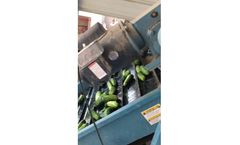 Kerian - Cucumbers and Pickles Sorting and Grading Machine