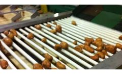 Kerian - Sweet Potatoes and Yams Sorting and Grading Machine