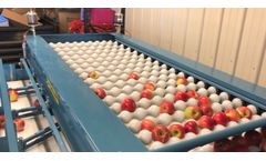 Kerian - Apples Sorting and Grading Machine