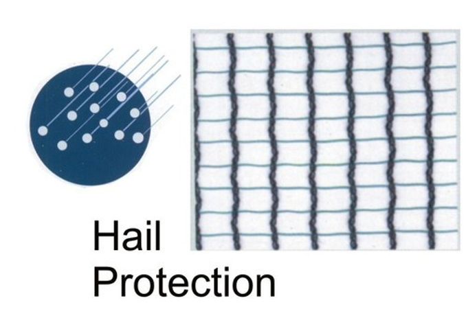 Blustal Hail Protection Net