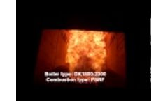 Combustion of Agropellets Video