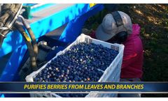 Kokan Fresh Blueberry Air Harvester Sensitive Berry Harvesting Technology Chile, 2019 - Video