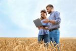 Food and Feed Industry Software for Feed Industry - Agriculture - Animal Nutrition