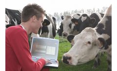  How to Simplify Feed Industry Challenges with Software 