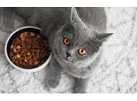 BESTMIX - Recipe Management (Pet Food)