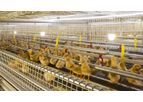 Tecno - Model Ideal FAS - Aviary Pullet Rearing System