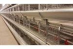 Tecno - Model Ideal Plus - Traditional Pullet Rearing System