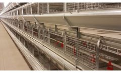 Tecno - Model Ideal Plus - Traditional Pullet Rearing System