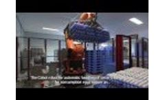 Cobot Egg Tray Palletizing Robot Video