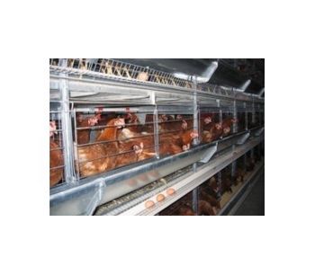 Facco - Model C3 - Poultry Layer Housing Systems