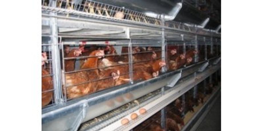 Facco - Model C3 - Poultry Layer Housing Systems