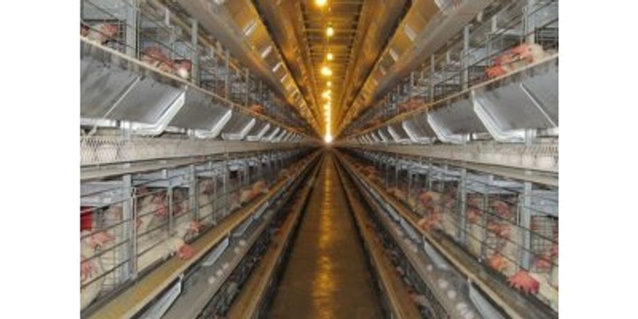 Facco - Model C4 - Poultry Layer House Systems